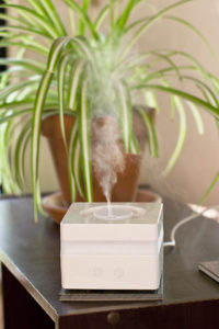 Beginning with Essential Oils - Diffuser