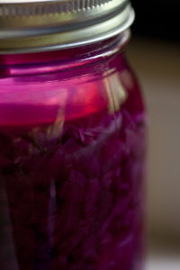 basic guide to fermentation - purple sauerkraut