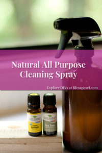 Easy All Purpose Cleaning Spray