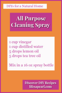 Easy All Purpose Cleaning Spray Recipe