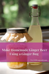 Make Ginger Beer Using a Ginger Bug