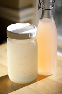 5 things I'm loving this summer: 2020 - Water Kefir