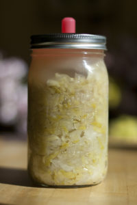 Fermenting Traditional Sauerkraut