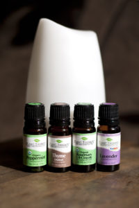 immune system support blend - peppermint, thyme, rosemary, and lavender