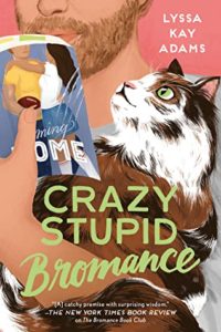 Crazy Stupid Bromance Cover