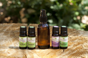 DIY Bug Spray with essential oils