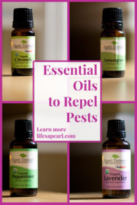 Essential Oil to Repel Pests Pin