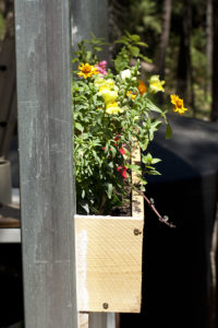 flower and herb box planter