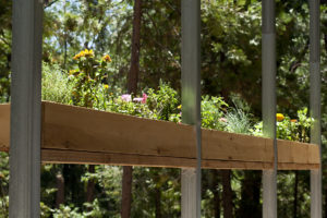 Flower and herb box