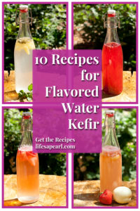 10 Recipes for Flavored Water Kefir Pin