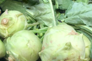 Kohlrabi