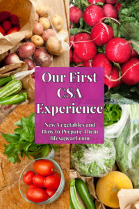 Our First CSA Experience Pin