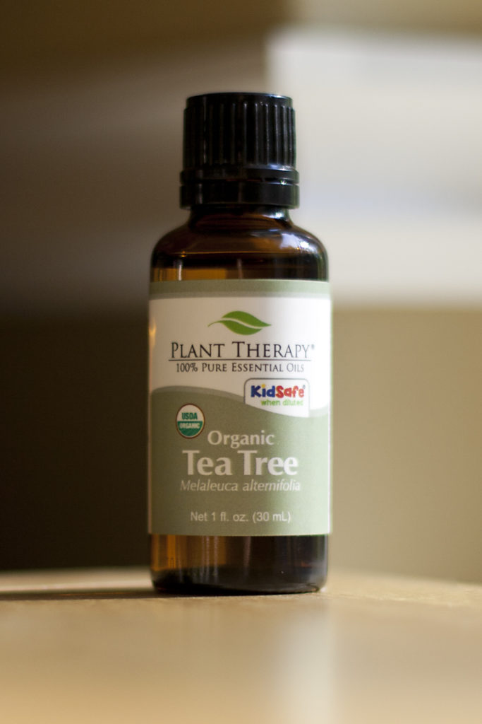 Tea Tree