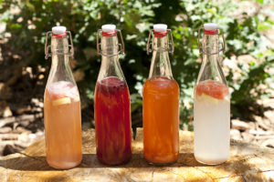 Flavored Water Kefir - 4 Bottles