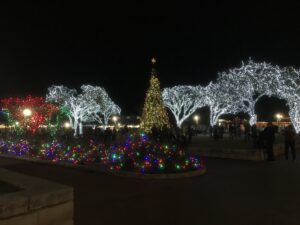 Holiday Lights 2